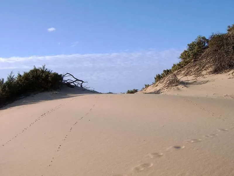 Turismo Rurale La Miniera Fiorita Arbus Εξοχικό σπίτι